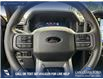 2025 Ford F-150 XLT (Stk: 25AT2755) in Airdrie - Image 14 of 25