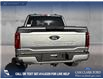 2025 Ford F-150 STX (Stk: 25T8230) in Red Deer - Image 5 of 24 2025 Ford F-150 STX (Stk: 25T8230) in Red Deer - Image 5 of 24