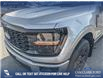2025 Ford F-150 STX (Stk: 25T8230) in Red Deer - Image 8 of 24 2025 Ford F-150 STX (Stk: 25T8230) in Red Deer - Image 8 of 24