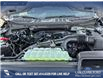 2025 Ford F-150 STX (Stk: 25T8230) in Red Deer - Image 10 of 24 2025 Ford F-150 STX (Stk: 25T8230) in Red Deer - Image 10 of 24