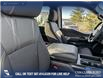 2025 Ford F-150 STX (Stk: 25T8230) in Red Deer - Image 21 of 24 2025 Ford F-150 STX (Stk: 25T8230) in Red Deer - Image 21 of 24