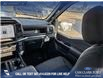 2025 Ford F-150 STX (Stk: 25T8230) in Red Deer - Image 24 of 24 2025 Ford F-150 STX (Stk: 25T8230) in Red Deer - Image 24 of 24