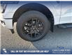 2025 Ford F-150 STX (Stk: 25T8274) in Red Deer - Image 6 of 24