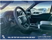 2025 Ford F-150 STX (Stk: 25T8274) in Red Deer - Image 12 of 24