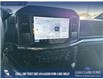 2025 Ford F-150 STX (Stk: 25T8274) in Red Deer - Image 19 of 24