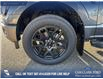 2025 Ford F-150 STX (Stk: 25T4426) in Red Deer - Image 6 of 24