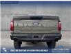 2025 Ford F-150 STX (Stk: 25T6958) in Olds - Image 5 of 25