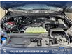 2025 Ford F-150 STX (Stk: 25T6958) in Olds - Image 10 of 25