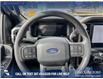 2025 Ford F-150 STX (Stk: 25T6958) in Olds - Image 14 of 25