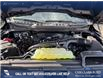 2025 Ford F-150 STX (Stk: 25T2750) in Red Deer - Image 10 of 24