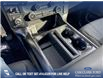 2025 Ford F-150 STX (Stk: 25T2750) in Red Deer - Image 17 of 24