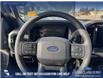 2025 Ford F-150 STX (Stk: 25T4375) in Olds - Image 14 of 25