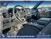 2025 Ford F-150 XLT (Stk: 25AT4195) in Airdrie - Image 13 of 25