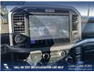 2025 Ford F-150 XLT (Stk: 25AT4195) in Airdrie - Image 19 of 25