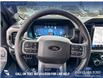 2025 Ford F-150 Lariat (Stk: 25T8581) in Red Deer - Image 13 of 24