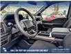 2025 Ford F-150 STX (Stk: 25T1278) in Red Deer - Image 12 of 24