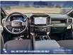 2025 Ford F-150 STX (Stk: 25T1278) in Red Deer - Image 23 of 24