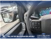 2025 Ford F-150 XL (Stk: 25CT9025) in Canmore - Image 17 of 25