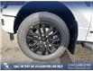 2025 Ford F-150 XLT (Stk: 25T8400) in Red Deer - Image 6 of 24