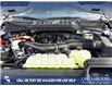 2025 Ford F-150 XLT (Stk: 25T8400) in Red Deer - Image 10 of 24