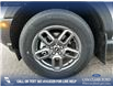 2025 Ford Bronco Sport Big Bend (Stk: 25AS2914) in Airdrie - Image 6 of 25