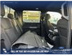 2025 Ford F-150 XLT (Stk: 25AT7159) in Airdrie - Image 23 of 25