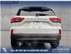 2026 Ford Escape ST-Line (Stk: 26CS7925) in Canmore - Image 6 of 26
