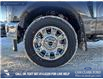 2026 Ford F-250 King Ranch (Stk: 26T7888) in Olds - Image 6 of 24