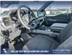 2025 Ford F-150 XLT (Stk: 25AT8592) in Airdrie - Image 13 of 25
