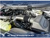 2025 Ford F-150 XLT (Stk: 25AT8321) in Airdrie - Image 10 of 25