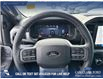 2025 Ford F-150 Lariat (Stk: 25T6793) in Olds - Image 13 of 24