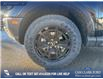 2026 Ford Bronco Sport Badlands (Stk: 26S4569) in Olds - Image 6 of 25
