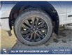2026 Ford F-150 XLT (Stk: 26T8802) in Red Deer - Image 6 of 23 2026 Ford F-150 XLT (Stk: 26T8802) in Red Deer - Image 6 of 23