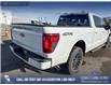 2026 Ford F-150 XLT (Stk: 26T8802) in Red Deer - Image 11 of 23 2026 Ford F-150 XLT (Stk: 26T8802) in Red Deer - Image 11 of 23