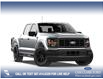 2026 Ford F-150 STX (Stk: 26AT0767) in Airdrie - Image 4 of 7
