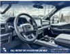 2026 Ford F-150 XLT (Stk: 26T2882) in Olds - Image 13 of 25