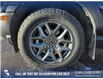 2025 Ford Bronco Sport Big Bend (Stk: 25AS4582) in Airdrie - Image 6 of 25