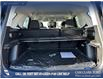 2025 Ford Bronco Sport Big Bend (Stk: 25AS4582) in Airdrie - Image 12 of 25