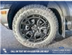 2025 Ford Bronco Sport Badlands (Stk: 25AS7803) in Airdrie - Image 6 of 25
