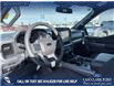 2026 Ford F-150 XLT (Stk: 26T2192) in Olds - Image 13 of 25