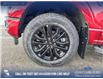 2025 Ford F-150 XLT (Stk: 25T2926) in Red Deer - Image 6 of 24