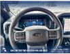 2025 Ford F-150 XLT (Stk: 25T2926) in Red Deer - Image 13 of 24