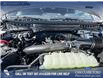2026 Ford F-150 Tremor (Stk: 26T4656) in Red Deer - Image 10 of 24
