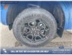 2026 Ford Ranger XLT (Stk: 26T9144) in Red Deer - Image 6 of 24