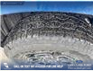 2026 Ford Ranger XLT (Stk: 26T9144) in Red Deer - Image 7 of 24