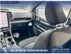 2026 Ford Ranger XLT (Stk: 26T9144) in Red Deer - Image 24 of 24
