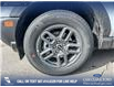 2026 Ford Bronco Sport Big Bend (Stk: 26AS0269) in Airdrie - Image 6 of 25