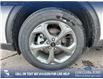 2025 Ford Escape ST-Line (Stk: 25AS9473) in Airdrie - Image 6 of 25