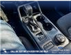 2026 Ford Ranger XLT (Stk: 26T9060) in Red Deer - Image 17 of 24
