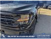 2026 Ford F-150 XLT (Stk: 26T8392) in Red Deer - Image 8 of 24